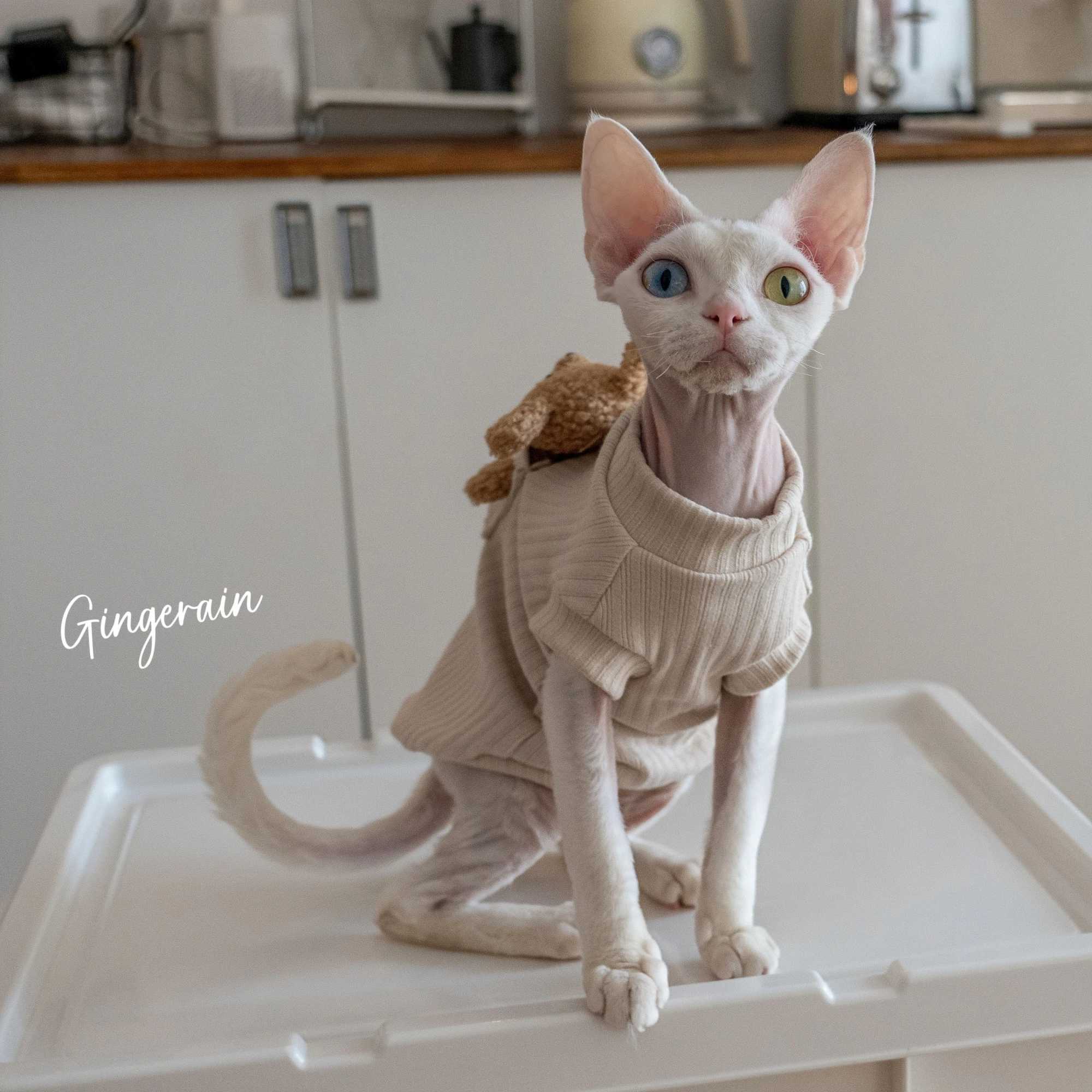 Cotton Coat Sewing Bear Doll for Sphynx Cat Winter Long Sleeves Soft Coffee Sweatshirt For Devon Rex Cartoon Tshirt For Cat C251009
