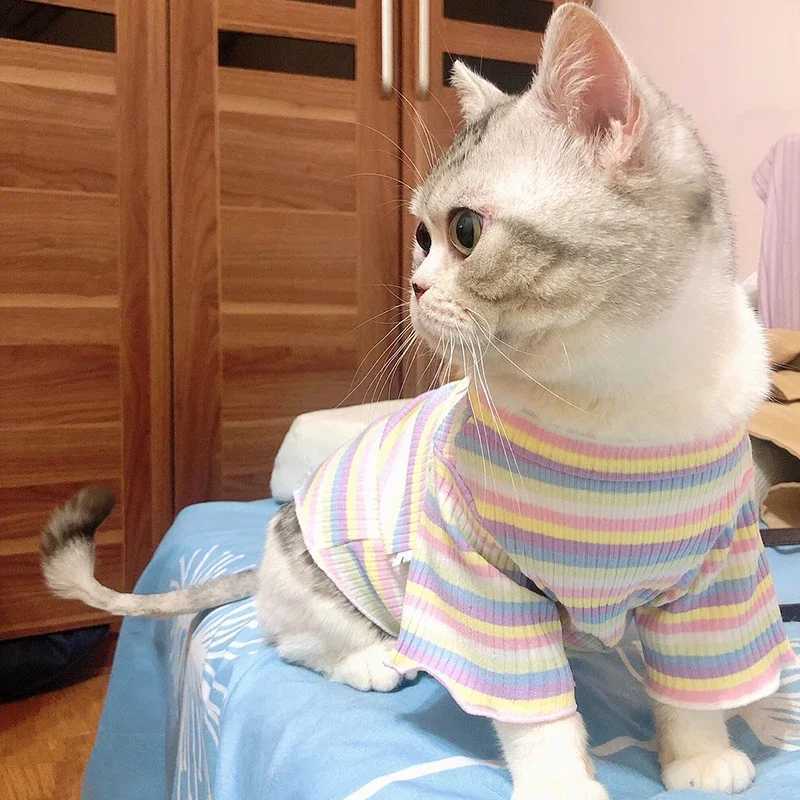 Spring Cotton Pet Cat Clothes for Cats Gotas Mascotas Clothing Sweet Stripe Puppy Sphynx Cat Katten Vest Shirt Ubranie Dla Kota C251009
