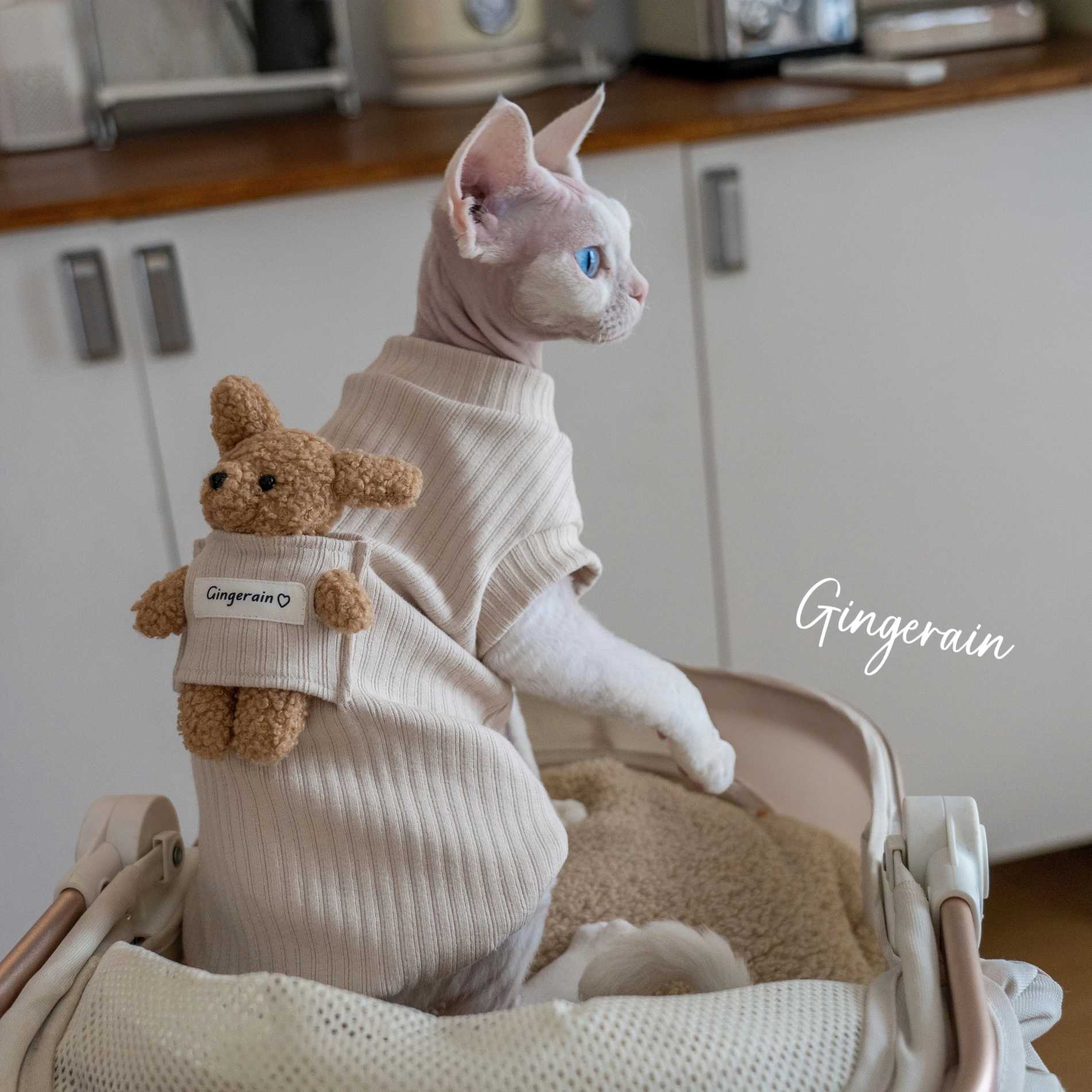 Cotton Coat Sewing Bear Doll for Sphynx Cat Winter Long Sleeves Soft Coffee Sweatshirt For Devon Rex Cartoon Tshirt For Cat C251009