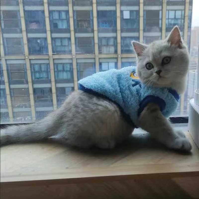 Plush Cat Rabbit Vest Cartoon Autumn Winter Pet Clothes for Kitten Puppy Bunny Guinea pig Warm Fleece Small Animals Clothing C251009