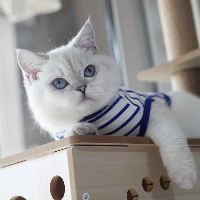 Summer Cat Puppy Clothes Classic Stripes Pet Sleeveless Vest for Small Dogs Cats Kitten Pullover Clothing ropa para perros C251009