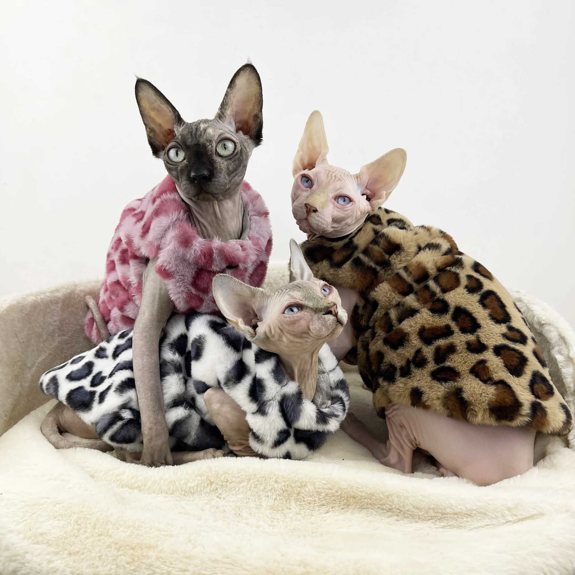 Sphynx Cat Clothing Warm Fleece Thick Coat for kittens Soft Winter Pink White Brown Leopard Sweater Vest For Devon Rex in Winter C251009