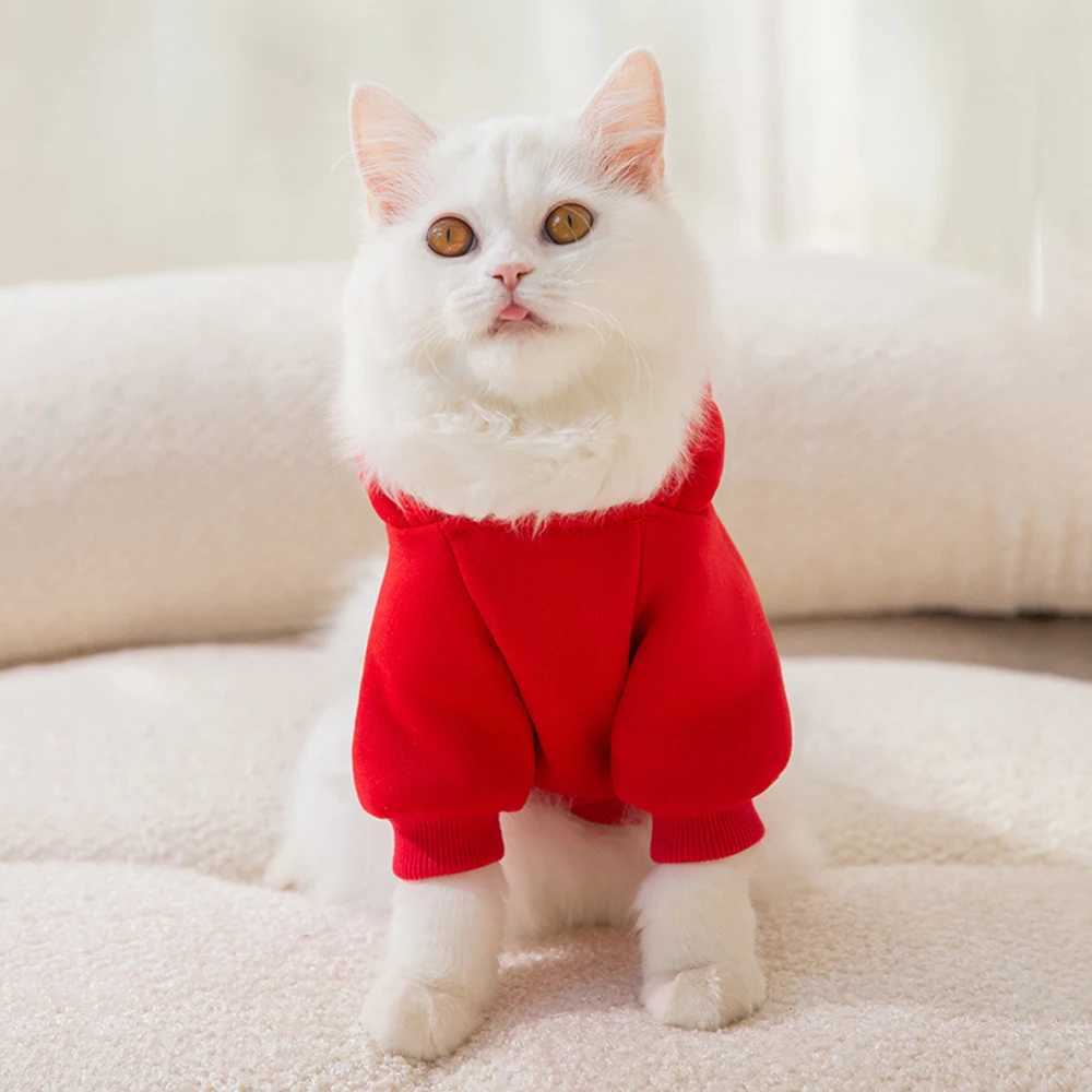 Classic Fruit Print Sphynx Cat Hoodie Sweater Autumn Winter Warm Pet Clothes for Cats Gotas Garfield Katten Dog mascotas Costume C251009