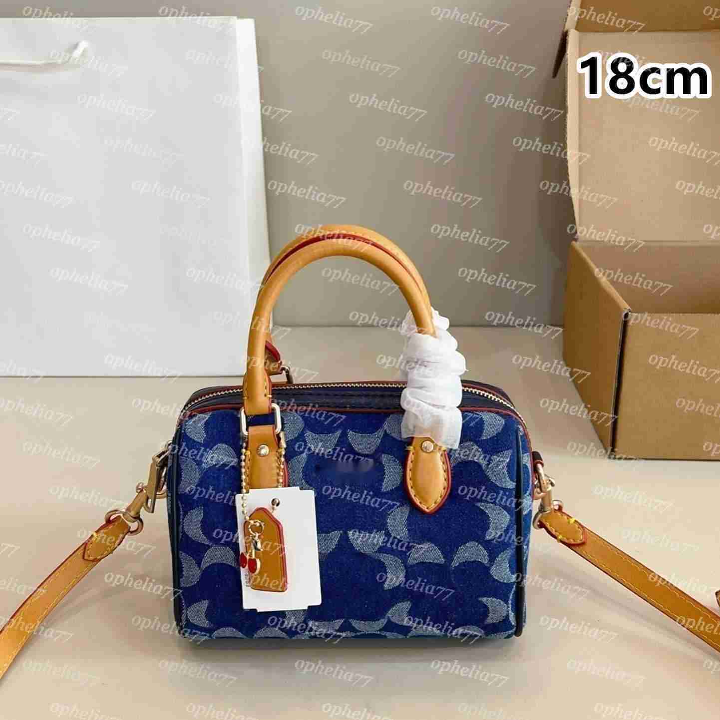 Luxury Denim Bags Designer Mini Rowan Boston Pillow Bags Women TERI LAUREL Crossbody Hobos Tote Purse Dempsey Bucket Wallet Ladies Fashion Handbags Satchels