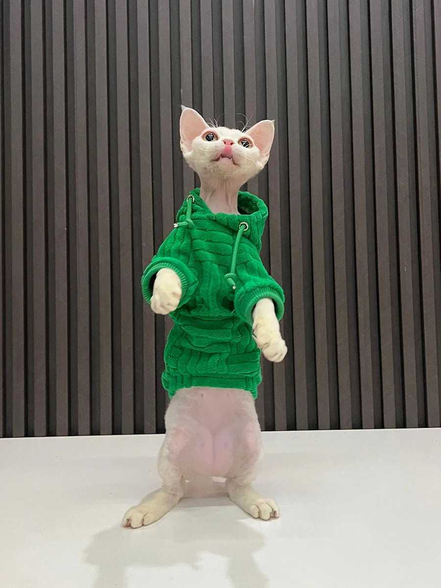 Luxury Materials Cat Cloths Sphynx Sweatershirt Devon Rex Coat Turtleneck Undershirt for Sphynx Cat Cotton Undercoat for Pet C251009