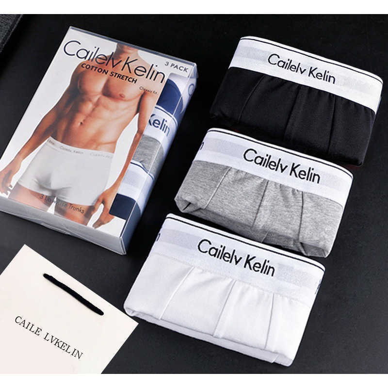 Men's underwear: Pure cotton men's briefs with four corners W240925