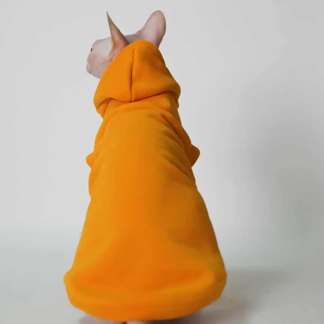 Hairless Cat Clothes Warm and Soft Cat Hoodies for Sphynx Devon Cornish and Abyssinian Cats C251009