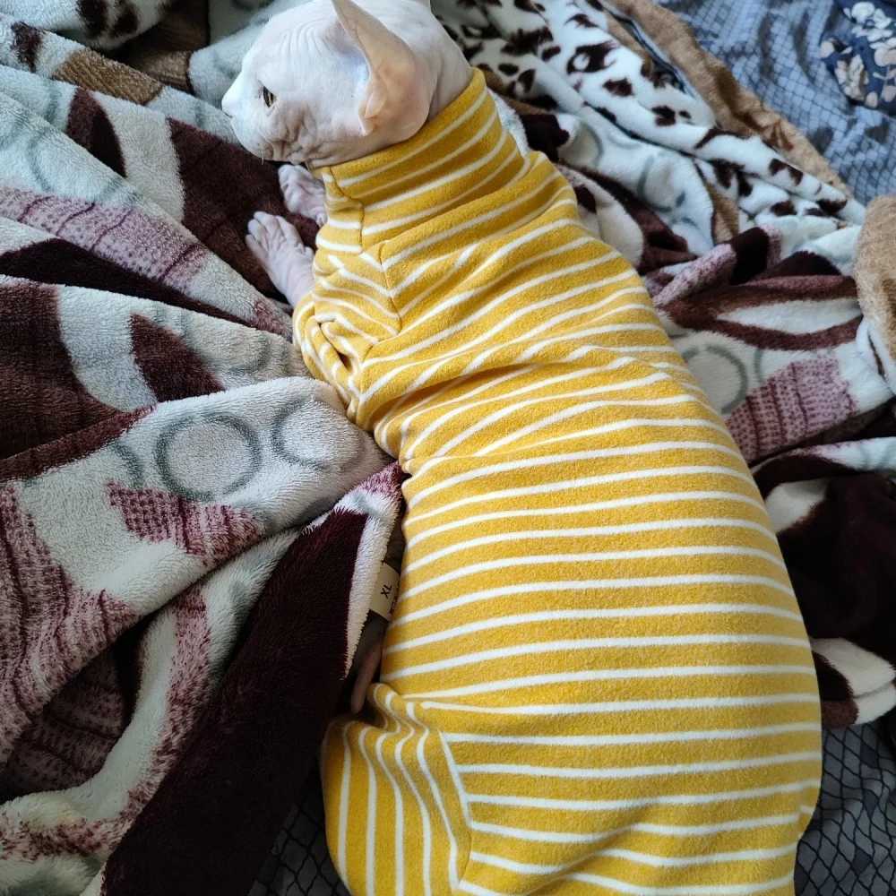 Winter Clothes for Cat Stripped Cotton 4legged Coat For SphnxLong sleeves Undershirt for Kittens Devon Rex Jumpsuit C251009