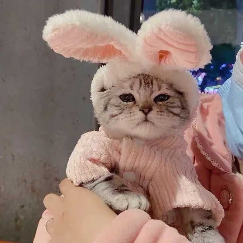 Warm Winter Clothes for Kittens Cute Bunny Appearance Cat Clothes Puppy Cute Coat Cats Dog Supplies Pet Products Home Garden C2510091
