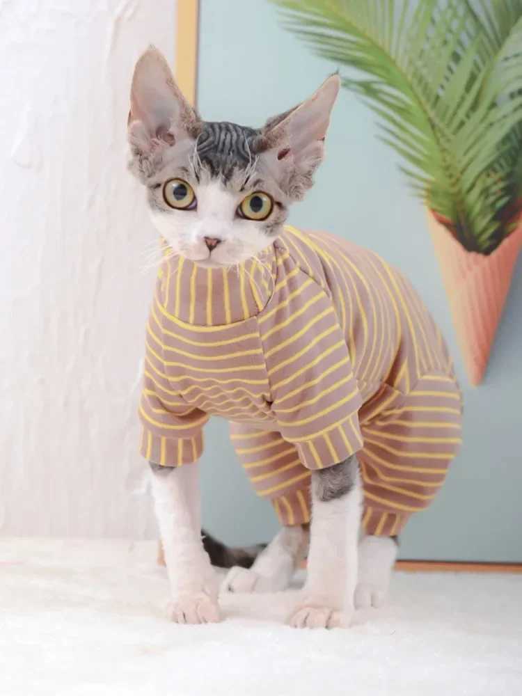 Hairless Cat Clothes Devon Sphynx Cat Stretch Velvet Belly Bottom Fourlegged Sweater Sphynx Cat Clothes C251009