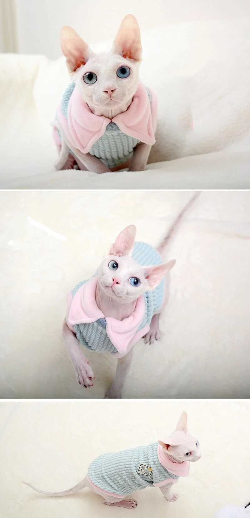 Autumn Winter Pet Cat Clothes for Sphinx Cats Warm Kitten Vest Soft Clothing For Cats Soft Small Puppy Pullovers Kitty Jacket C251009