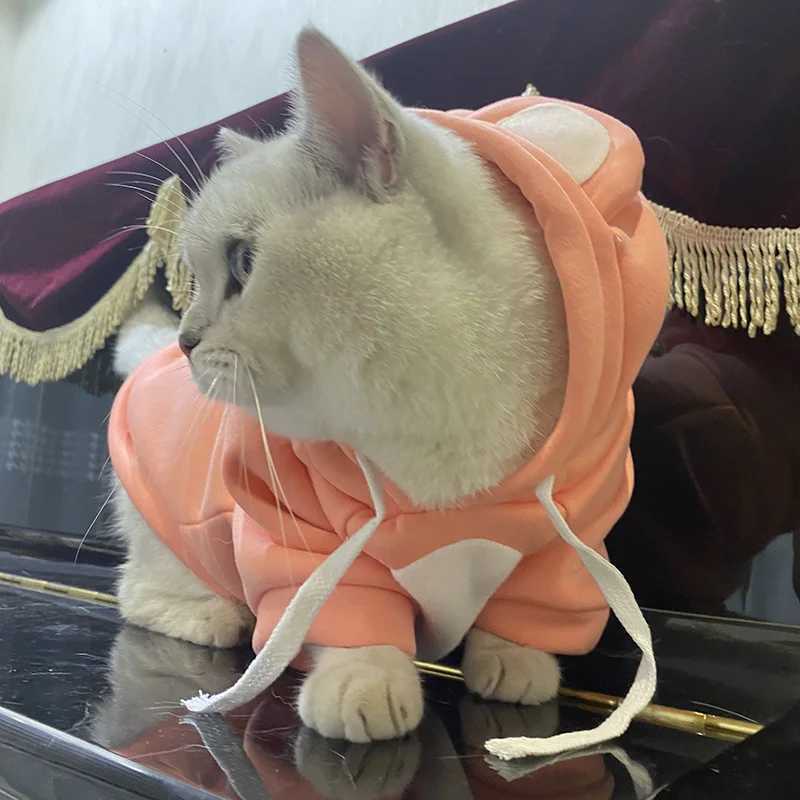 Newest Dog Cat Hoodie Sweater Winter Warm Pet Clothes for Cats Gotas Clothing Sphynx Kitten Persian Sweatshirt mascotas Costume C251009