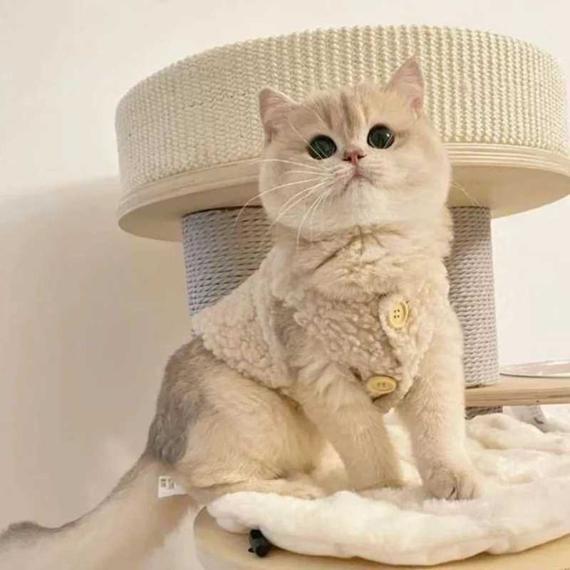 Cat Clothes Warm Lambhair Vest Soft Cozy Winter Warm Fleece Sweatshirt Puppy Kitten Jacket Coat Pet Sphynx Costume Sweater C251009