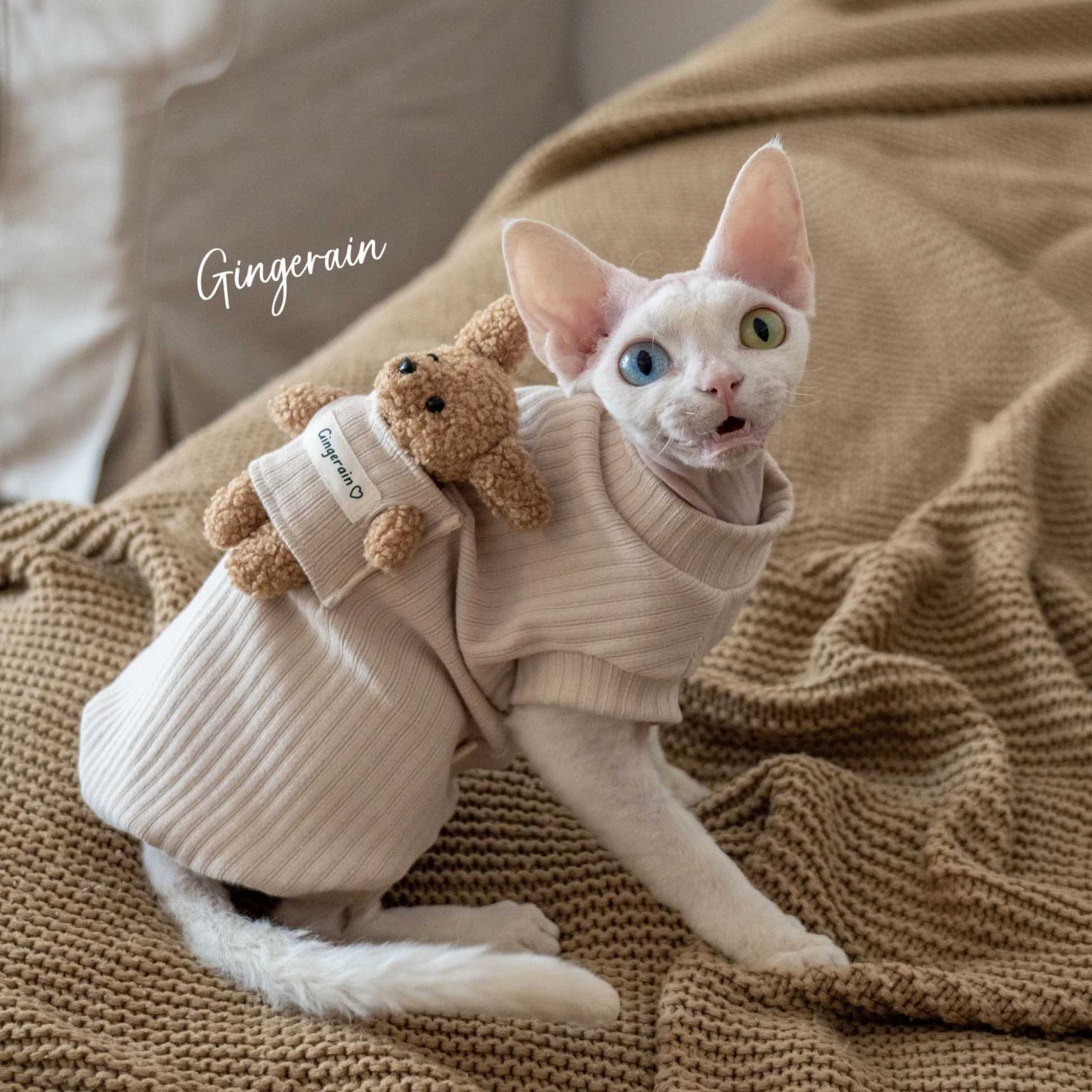Cotton Coat Sewing Bear Doll for Sphynx Cat Winter Long Sleeves Soft Coffee Sweatshirt For Devon Rex Cartoon Tshirt For Cat C251009