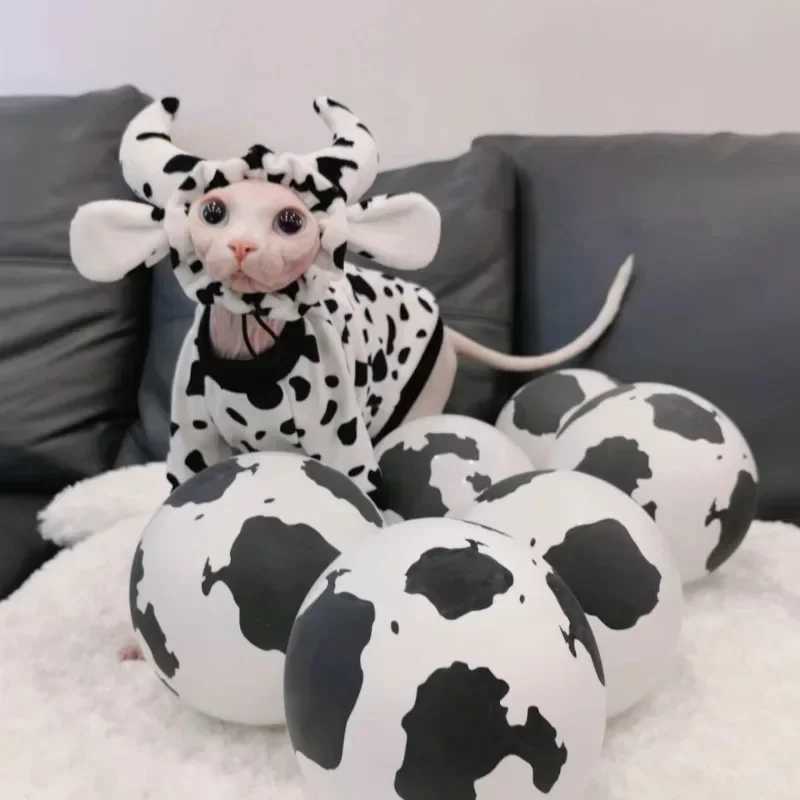 Autumn and Winter New Hairless Cat Dinosaur Clothes Autumn German Clothes Cat Four legged Clothes Personalized Trendy Style C251009