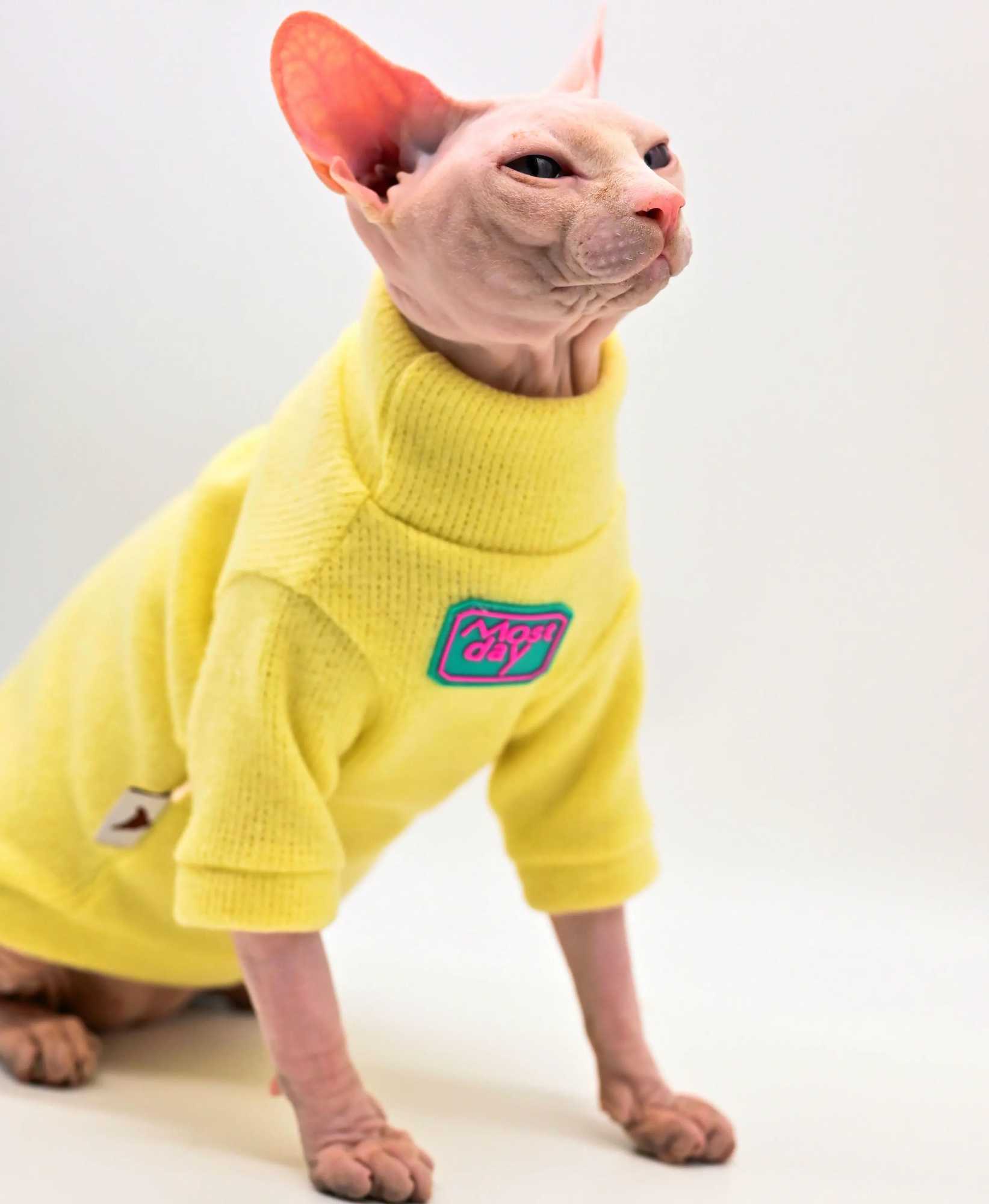 DUOMASUMI Devon Sweater Sphynx Cat Clothes Fashion Kitty Soft and Comfort Winter Hairless Cat Clothes C251009