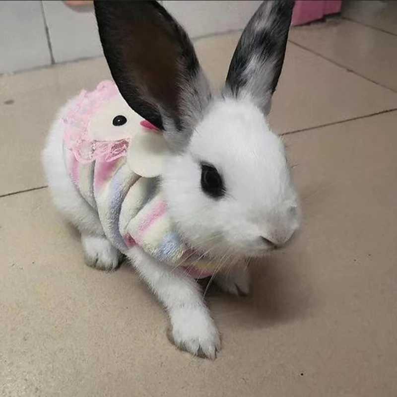 Plush Cat Rabbit Vest Cartoon Autumn Winter Pet Clothes for Kitten Puppy Bunny Guinea pig Warm Fleece Small Animals Clothing C251009