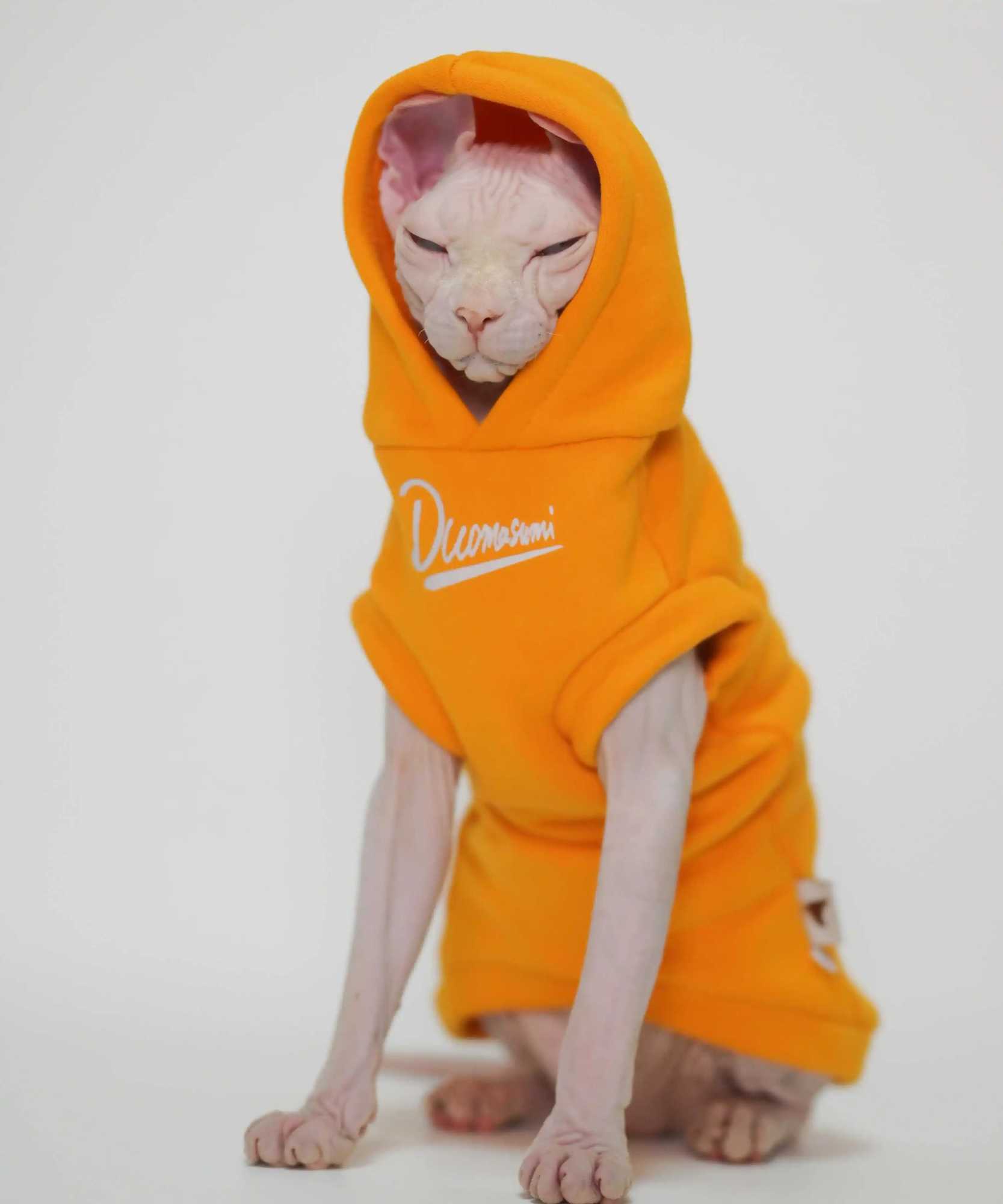 Hairless Cat Clothes Warm and Soft Cat Hoodies for Sphynx Devon Cornish and Abyssinian Cats C251009