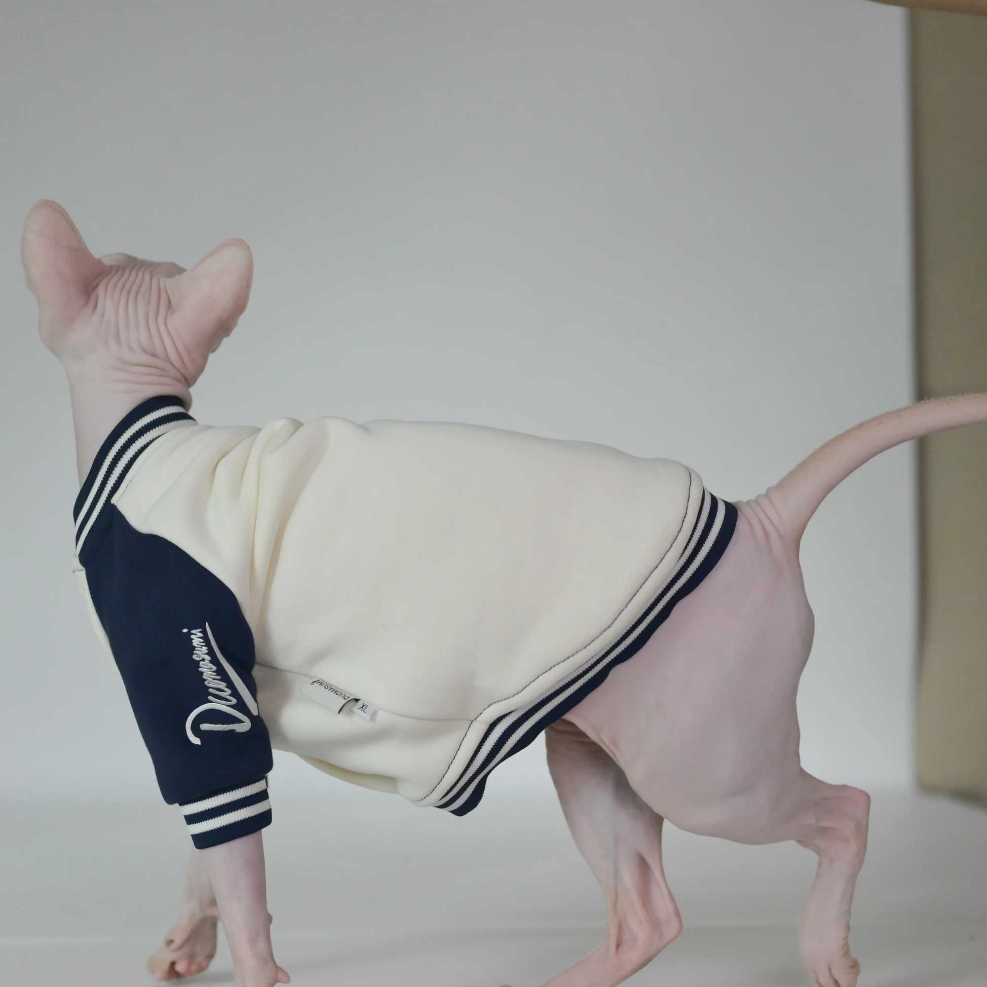 Super Soft Cat Baseball Shirt for Winter Featuring Sphynx Devon Cornish and Kitten Breeds C251009