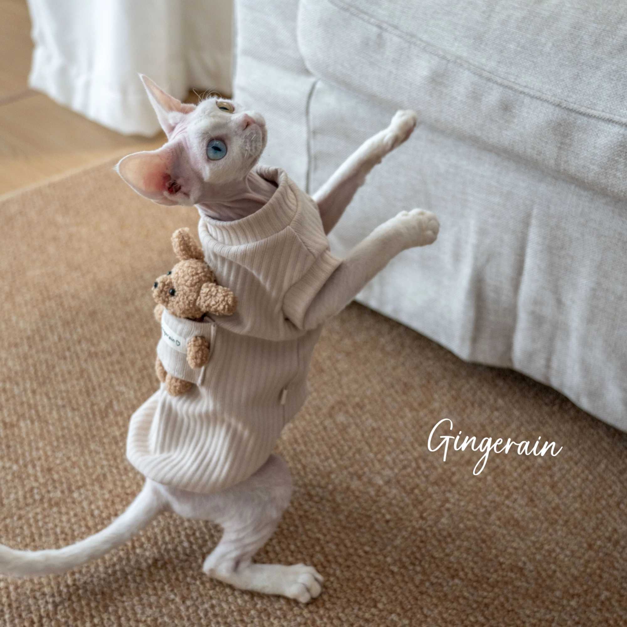 Cotton Coat Sewing Bear Doll for Sphynx Cat Winter Long Sleeves Soft Coffee Sweatshirt For Devon Rex Cartoon Tshirt For Cat C251009