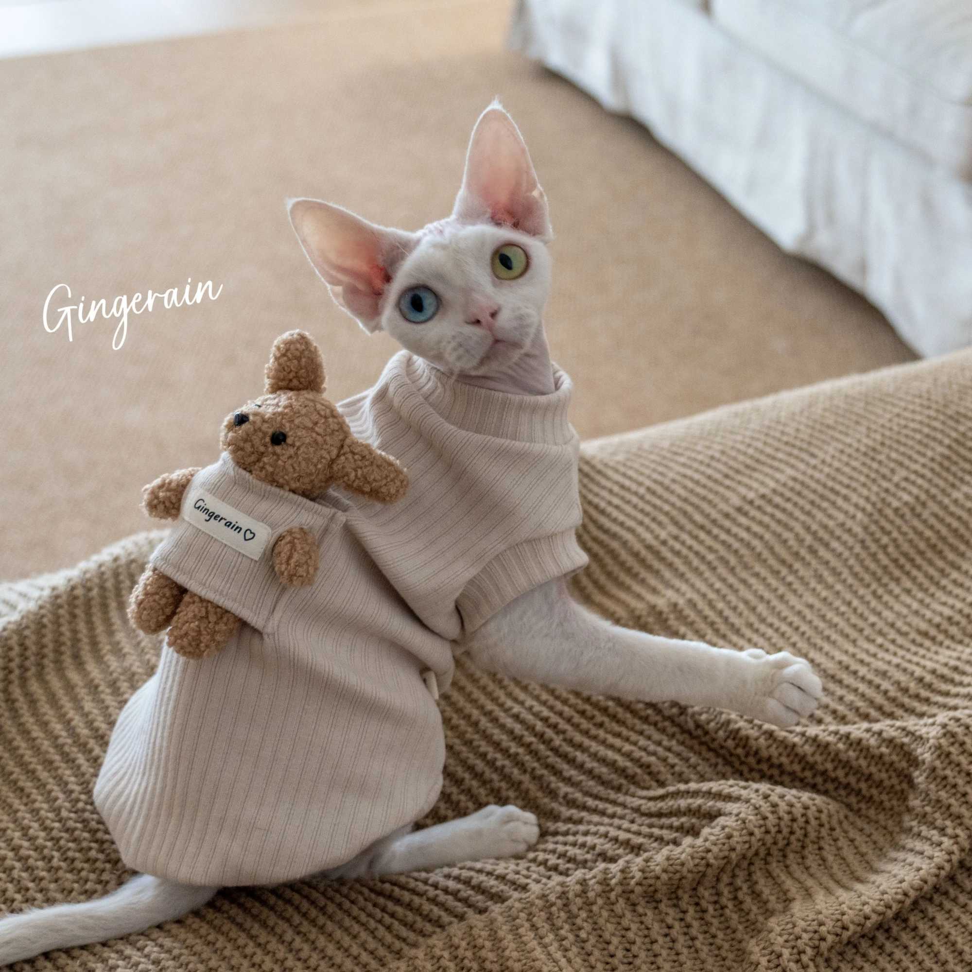 Cotton Coat Sewing Bear Doll for Sphynx Cat Winter Long Sleeves Soft Coffee Sweatshirt For Devon Rex Cartoon Tshirt For Cat C251009