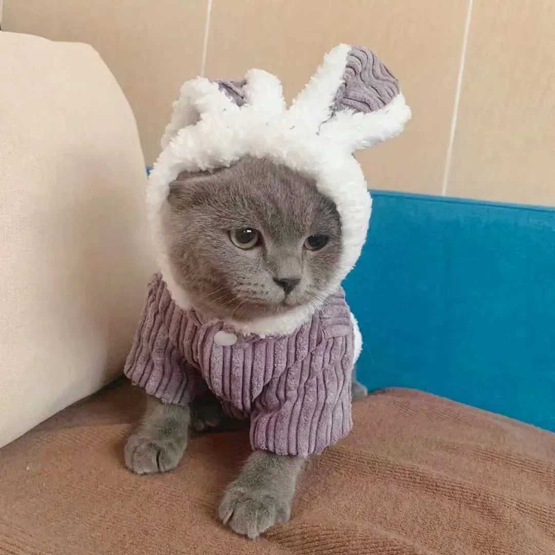 Warm Winter Clothes for Kittens Cute Bunny Appearance Cat Clothes Puppy Cute Coat Cats Dog Supplies Pet Products Home Garden C2510091