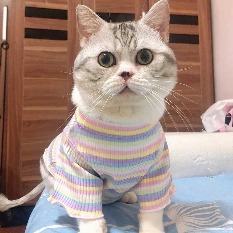 Spring Cotton Pet Cat Clothes for Cats Gotas Mascotas Clothing Sweet Stripe Puppy Sphynx Cat Katten Vest Shirt Ubranie Dla Kota C251009