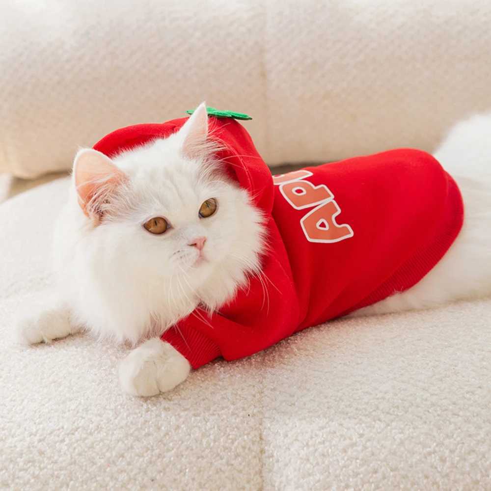Classic Fruit Print Sphynx Cat Hoodie Sweater Autumn Winter Warm Pet Clothes for Cats Gotas Garfield Katten Dog mascotas Costume C251009