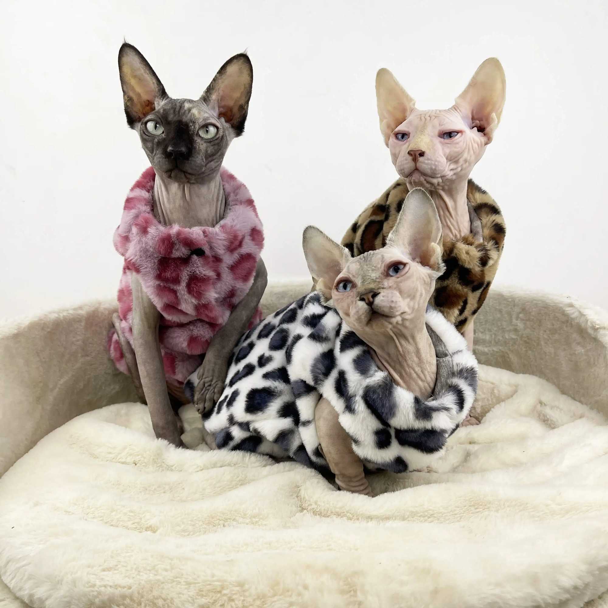 Sphynx Cat Clothing Warm Fleece Thick Coat for kittens Soft Winter Pink White Brown Leopard Sweater Vest For Devon Rex in Winter C251009