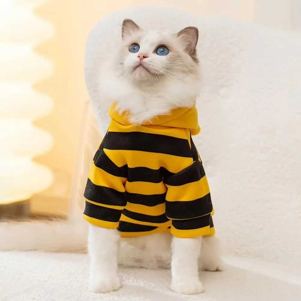 Cats Clothing Kitten Clothes for Small Kitten Kittens Garment Dog Dogs Sweater Products Apparels Pet Stuff Winter Vests Cat C251009