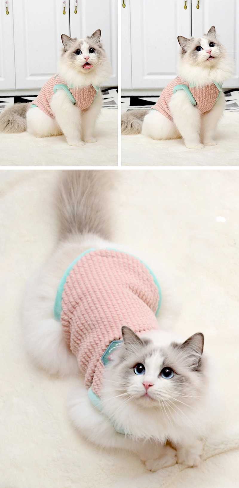 Autumn Winter Pet Cat Clothes for Sphinx Cats Warm Kitten Vest Soft Clothing For Cats Soft Small Puppy Pullovers Kitty Jacket C251009