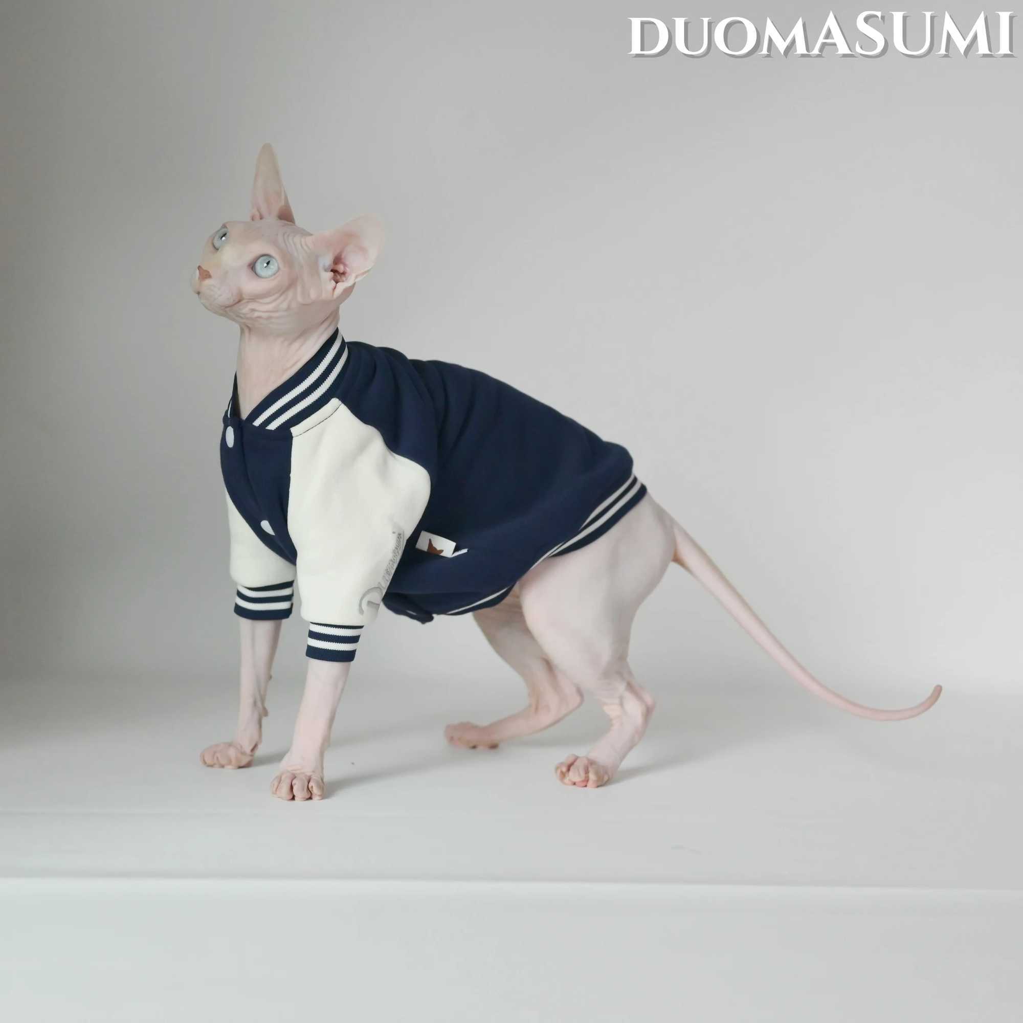 Super Soft Cat Baseball Shirt for Winter Featuring Sphynx Devon Cornish and Kitten Breeds C251009