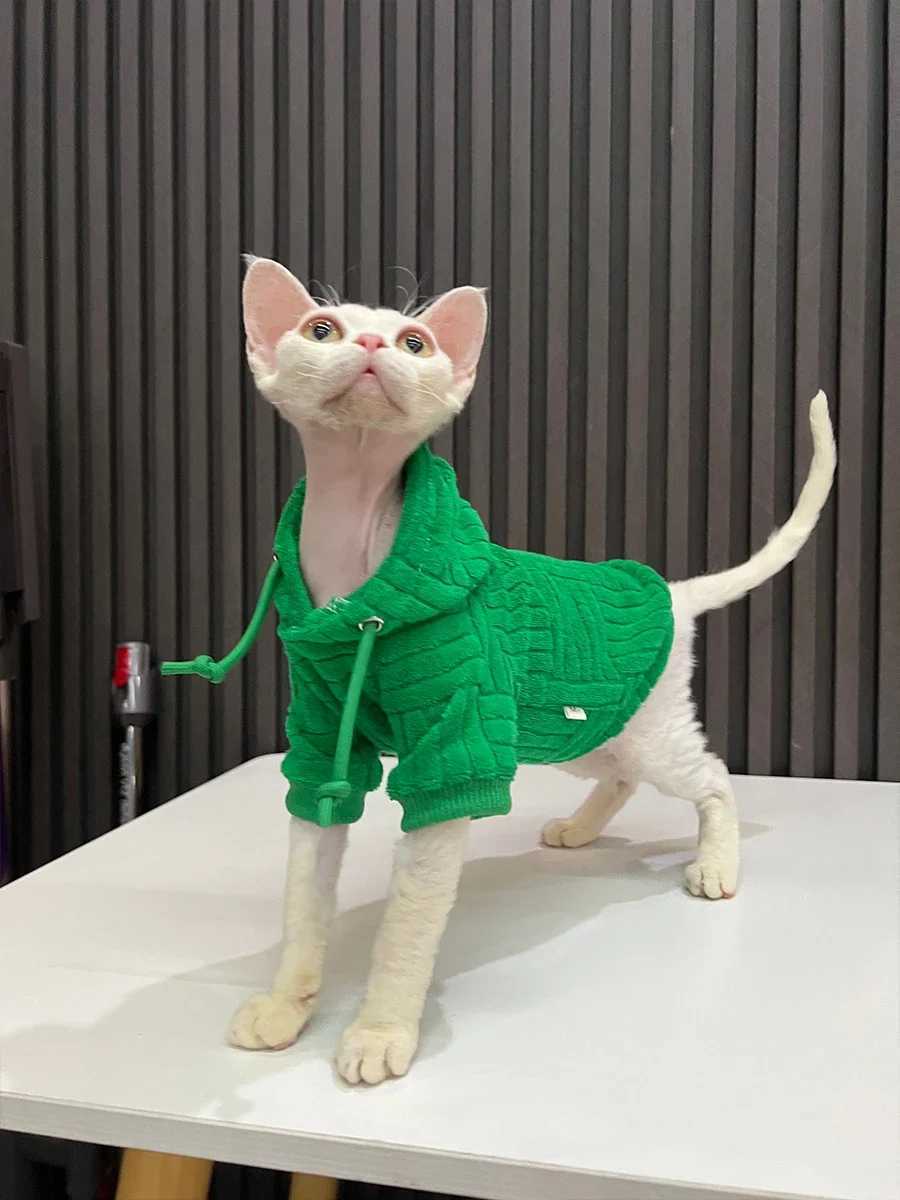 Luxury Materials Cat Cloths Sphynx Sweatershirt Devon Rex Coat Turtleneck Undershirt for Sphynx Cat Cotton Undercoat for Pet C251009
