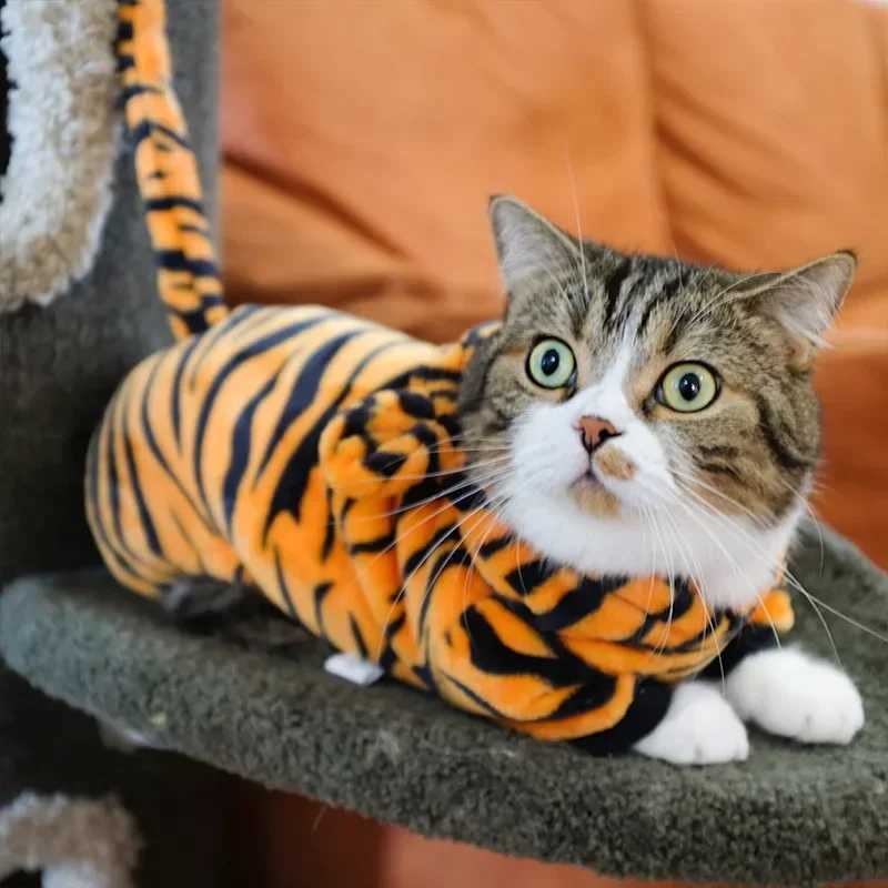 Cute Tiger Dinosaur Soft Warm Pet Dog Jumpsuits Clothing for Cats Pajamas Pet Hoodies Chihuahua Teddy Costume Pet Products C251009