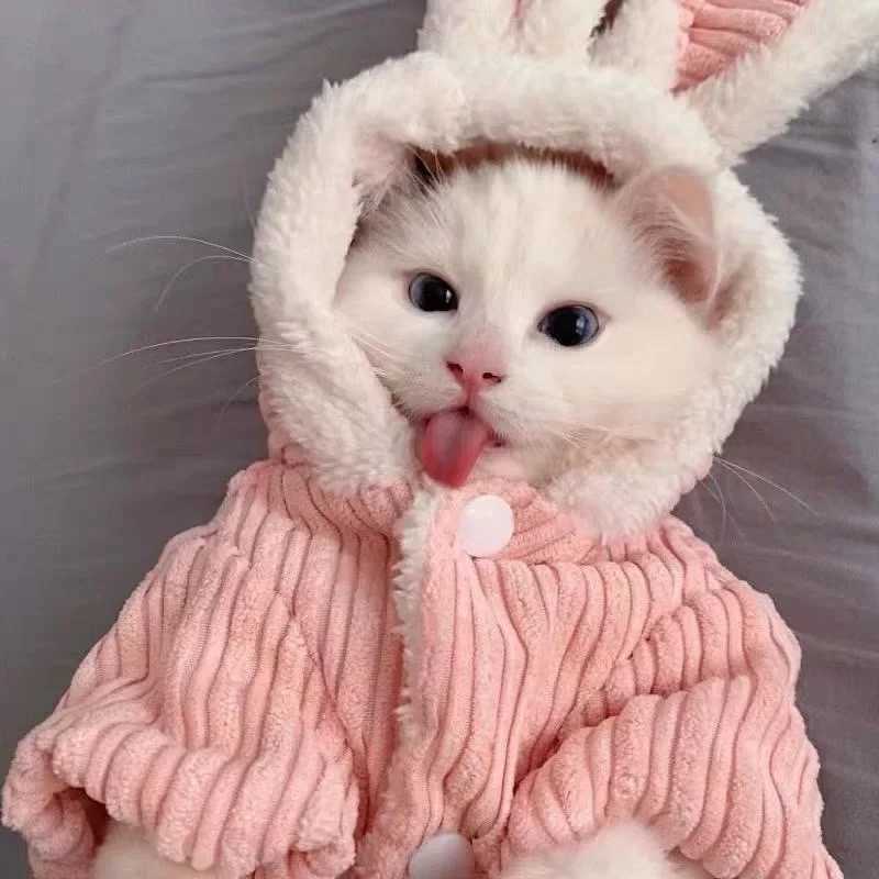 Warm Winter Clothes for Kittens Cute Bunny Appearance Cat Clothes Puppy Cute Coat Cats Dog Supplies Pet Products Home Garden C2510091