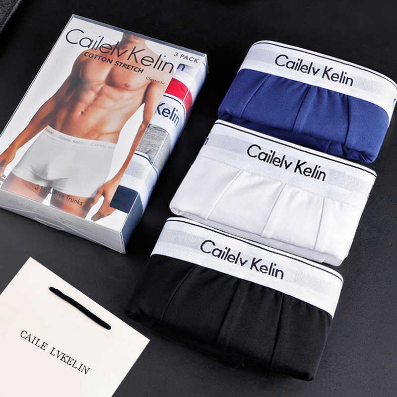 Men's underwear: Pure cotton men's briefs with four corners W240925