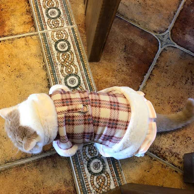 Luxury Cat Harness Jacket with Buckle Winter Warm Pet Clothes for Cats Gatos Katten Kedi Clothing Dog Coat mascotas Costume C251009