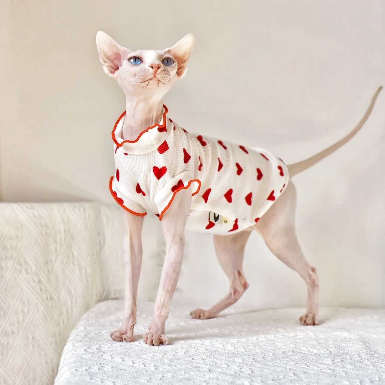 Sphinx Hairless Cat Clothing Cute Summer Thin Sleeveless Vest Clothes For Devon Lovely Cat Costume Pet Pure Desire Wind C251009