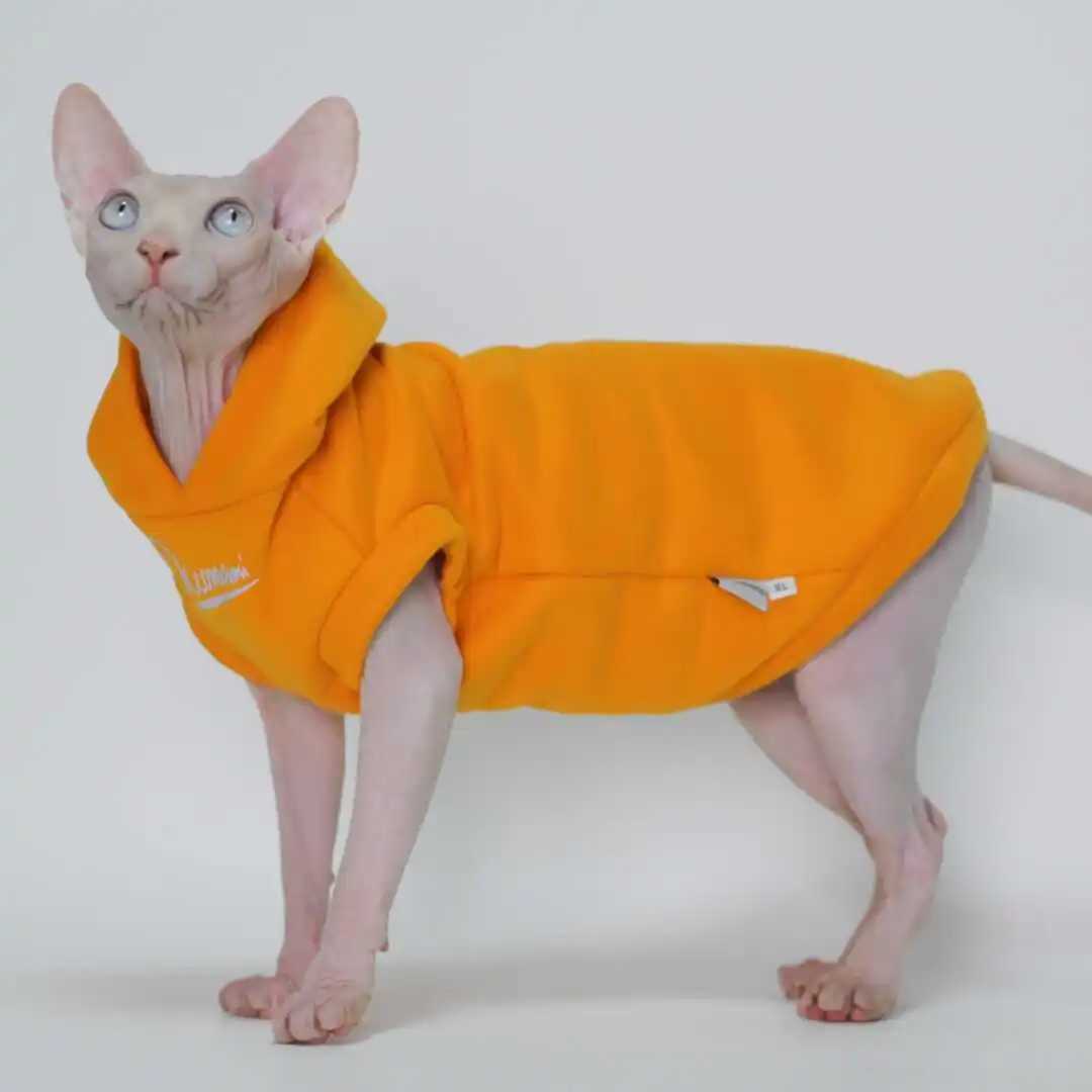 Hairless Cat Clothes Warm and Soft Cat Hoodies for Sphynx Devon Cornish and Abyssinian Cats C251009