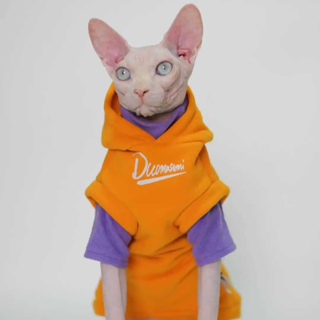 Hairless Cat Clothes Warm and Soft Cat Hoodies for Sphynx Devon Cornish and Abyssinian Cats C251009