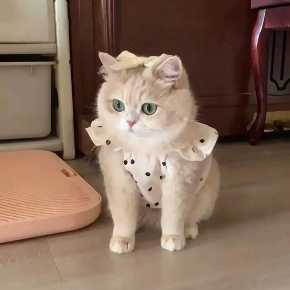 Fashion Dot Pet Dog Dress Summer Clothes Sleeveless Puppy Skirt Slim Style Cat Princess Dresses Chihuahua Bichon French Bulldog C251009