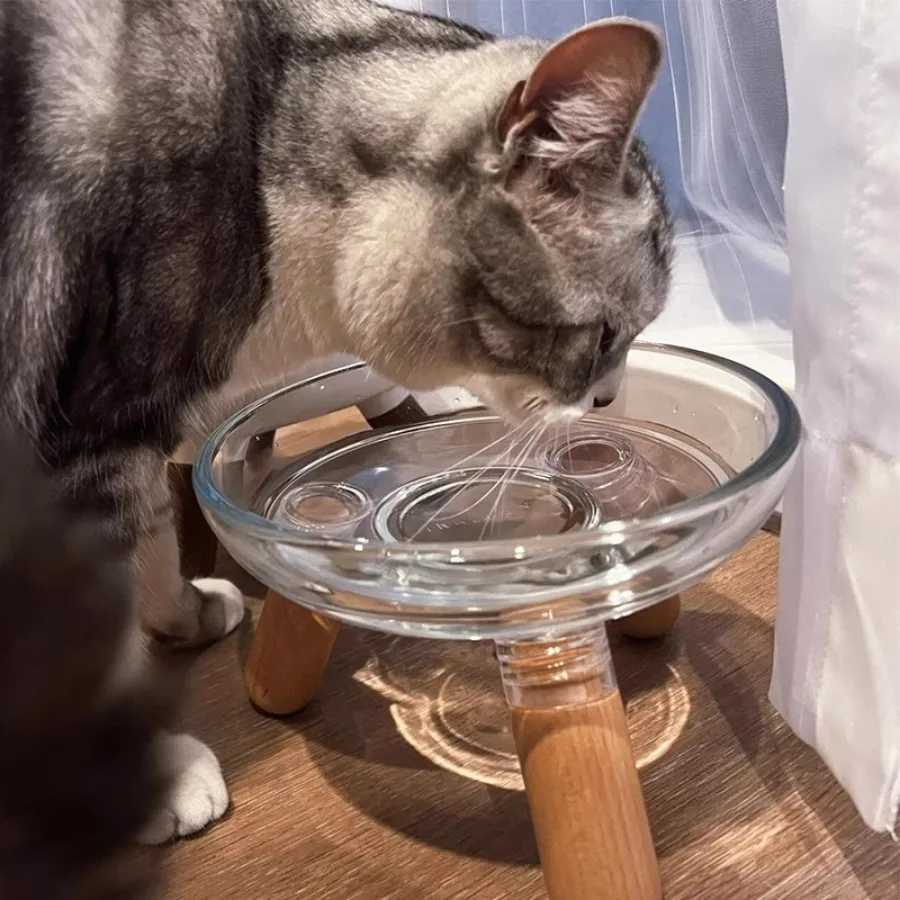 500ml Cat Feeder Dog Bowl Is Not Easy To Knock Over Increased Height To Protect Cervical Spine Things for Pet Cat Accessories C251009