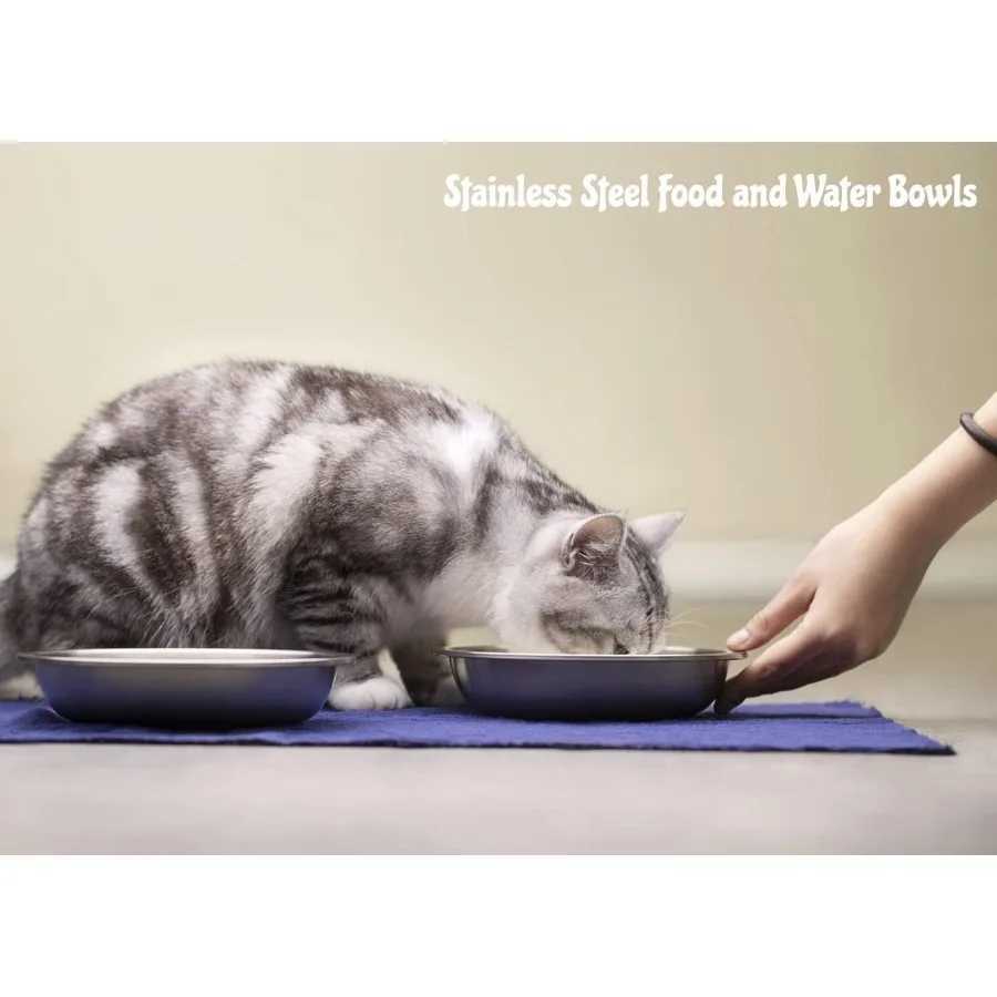 Stainless Steel Cat Bowls 2 Pack Whisker Fatigue Cat Food Dish Metal Shallow Wide Large Replacement Plate for Dog and Pe C251009