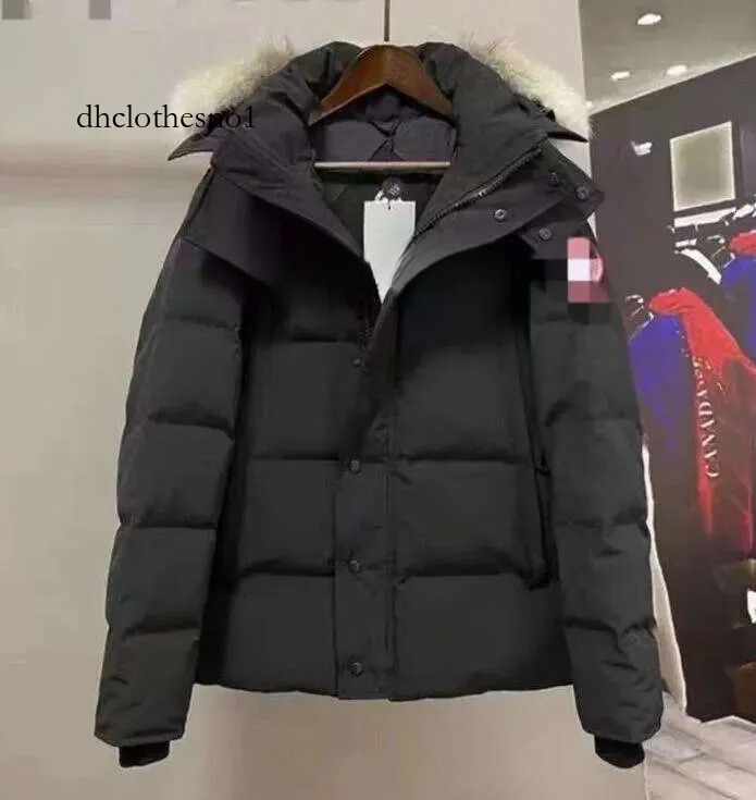 Canada Jacket Designer Jackets Canadalys Gooselys Jacket Winter Canadalies Gooselies Puffer Jacket Coat Warm Goosse Coat Thicken Cotton Canadalys Goosecoats 0f4