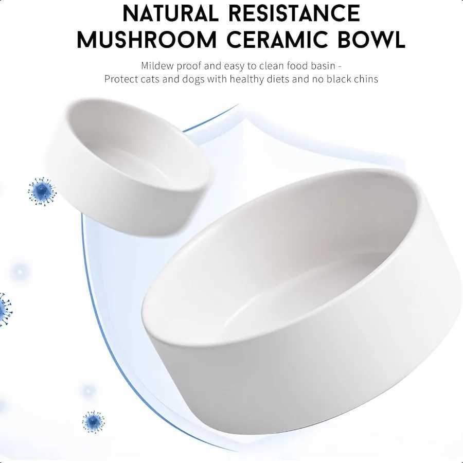 White Ceramic Dog Cat Bowl Set 135 OZ with Wooden Stand NonSlip Elevated Design for Small Dogs Cats 2 Bowls Food Water Ceramic C251009