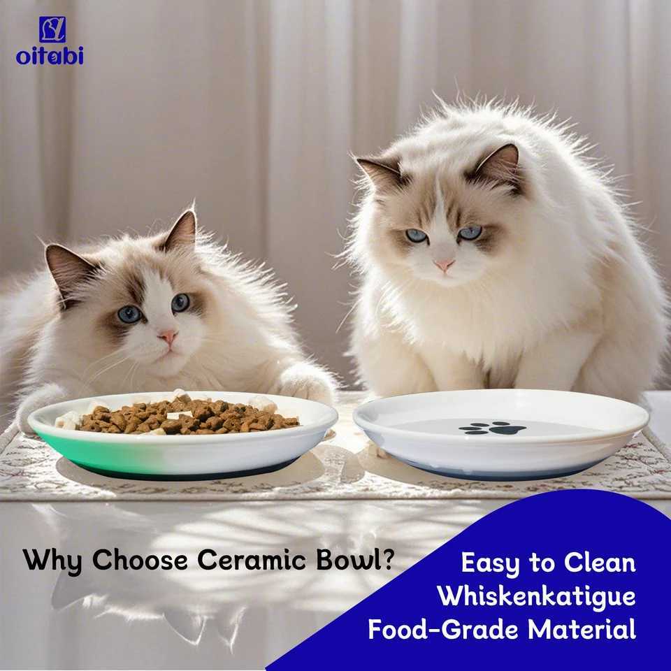 Oitabi 3PCS Cat Food Bowl Ceramic Cat Bowls Anti Whisker Fatigue Cats Bowl Set Shallow Wide Kitten Plates for Food and Water C251009