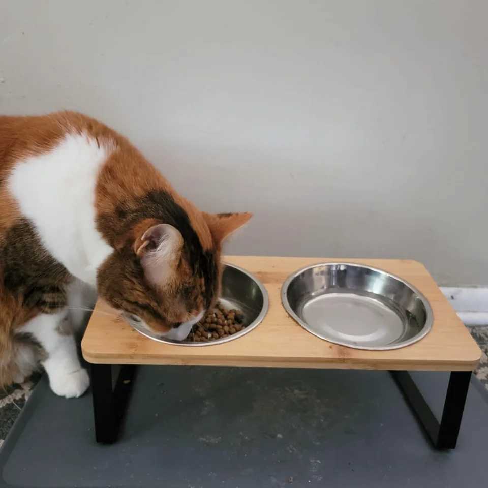 Upgraded Elevated Cat Bowls with Food Mat 15Tilted Stand Anti Vomiting Raised Cat Dishes 2 Stainless Steel Bowls for Puppy C251009