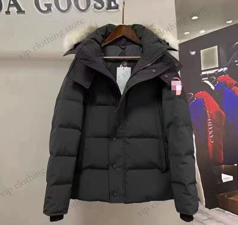 Designer Canadalys Men's Downjacket Parka Gooselys Hooded Winter Canadalies Warm Thicken Cotton Canadalys Goosecoat Black Classic Fashion B89