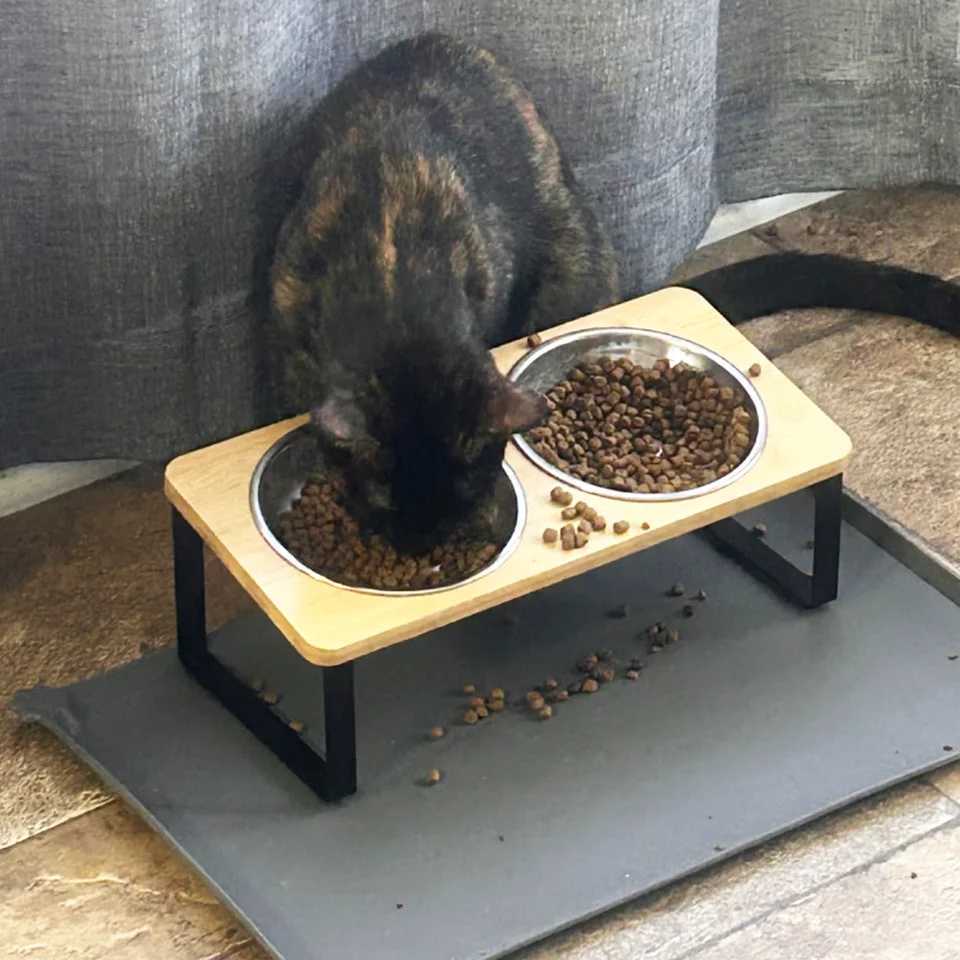 Upgraded Elevated Cat Bowls with Food Mat 15Tilted Stand Anti Vomiting Raised Cat Dishes 2 Stainless Steel Bowls for Puppy C251009