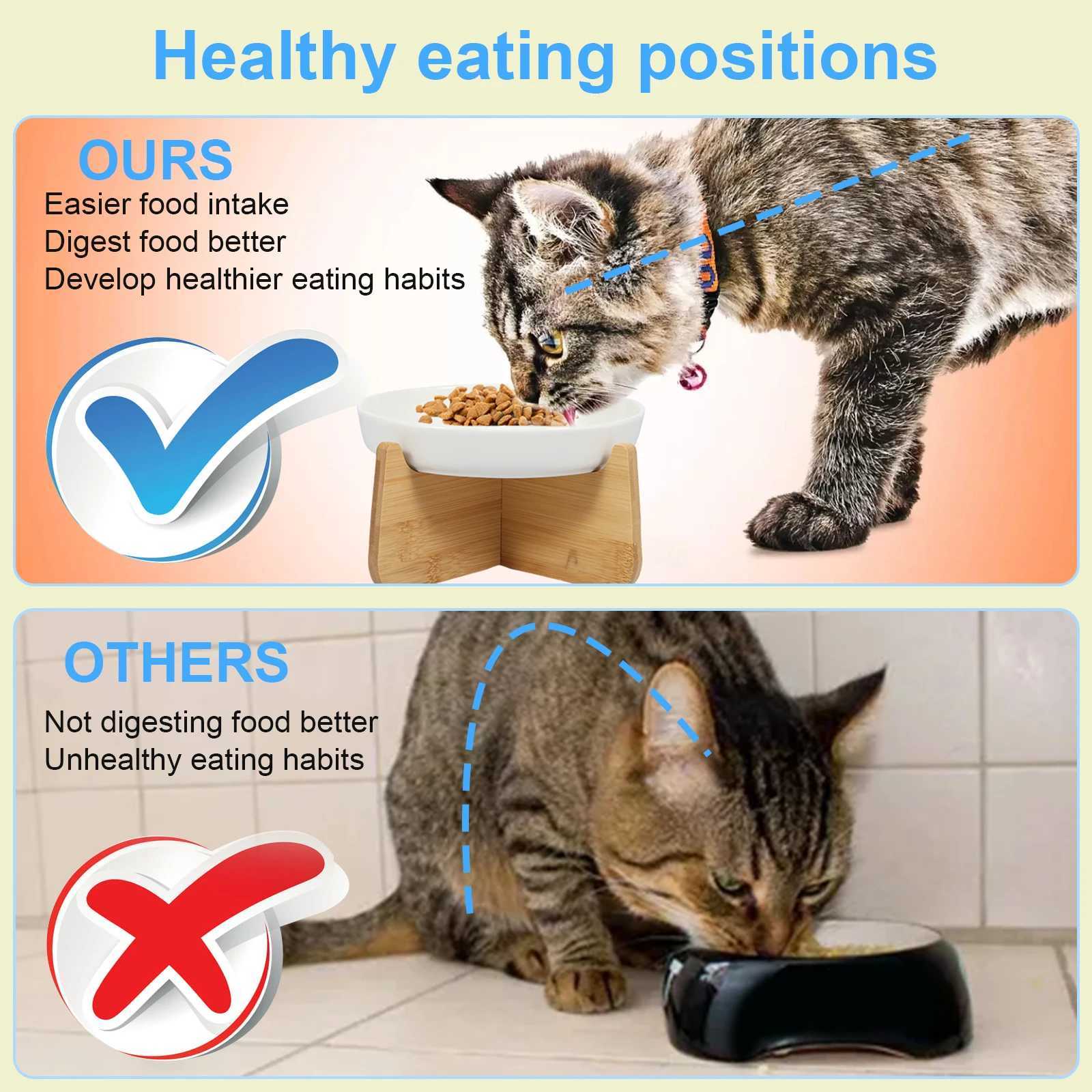 Raised Cat Bowl Elevated Cat Bowls with Wood Stand Ceramic Slow Feeder Bowl Cat Feeding Bowl Anti Vomiting Cat Food Bowl NonSli C251009